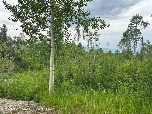 61 Pine Dr, Thayne, WY 83127