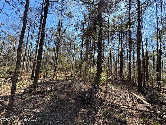 3rd image of 0 N Circle Rd