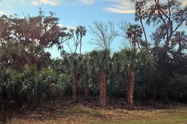 1st image of 406 Palm Dr