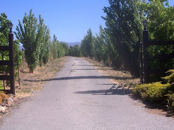 Lovely Tree Lined Driveway