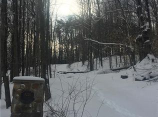 8228 Irish Rd, Colden, NY 14033