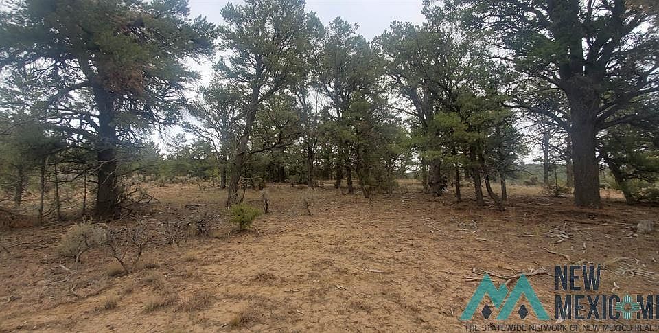 1st image of County Road 322 Dr