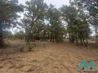 County Road 322 Dr, Los Ojos, NM 87551