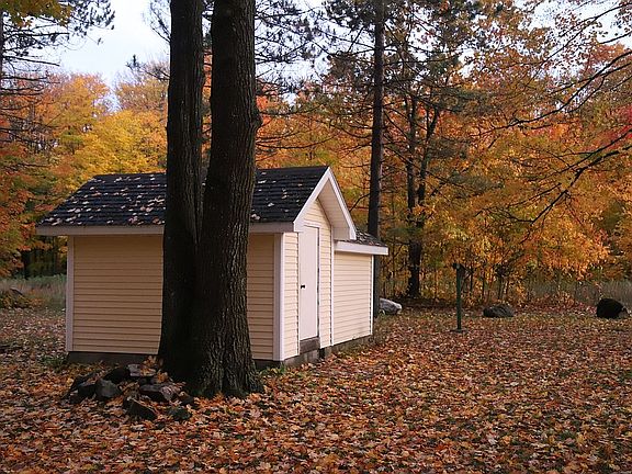 Shed in the back side yard