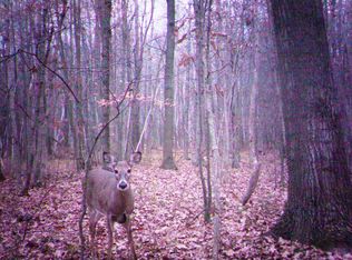 20500 Cupp Rd, Elsie, MI 48831