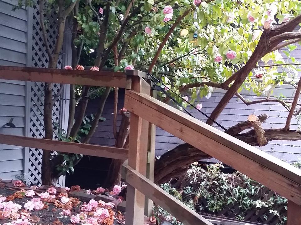 1st image of 2124 Waverly Pl N APT C