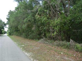 1035 E Lansdowne Ave, Orange City, FL 32763