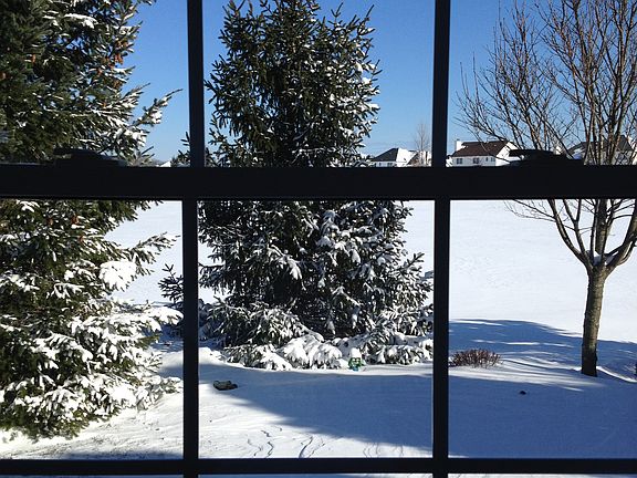 View from kitchen window