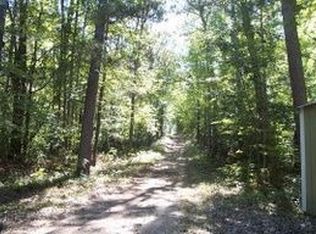 13810 Gibraltar Trl, Johannesburg, MI 49751