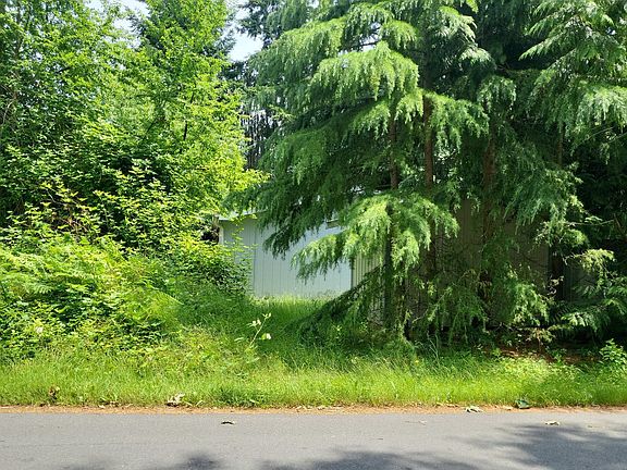 3rd image of 1619 Vine Maple Ln