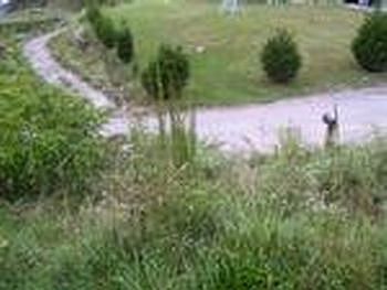 Photo of Mobile Home Lot