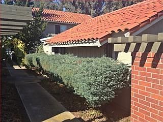 4th image of 1332 Star Bush Ln