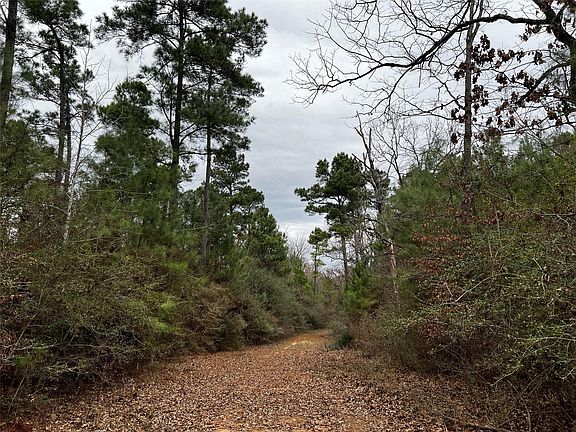 3rd image of County Road 207