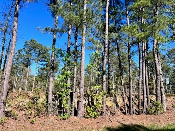 TRACT 5 Whiddon Mill Rd, Tifton, GA 31793