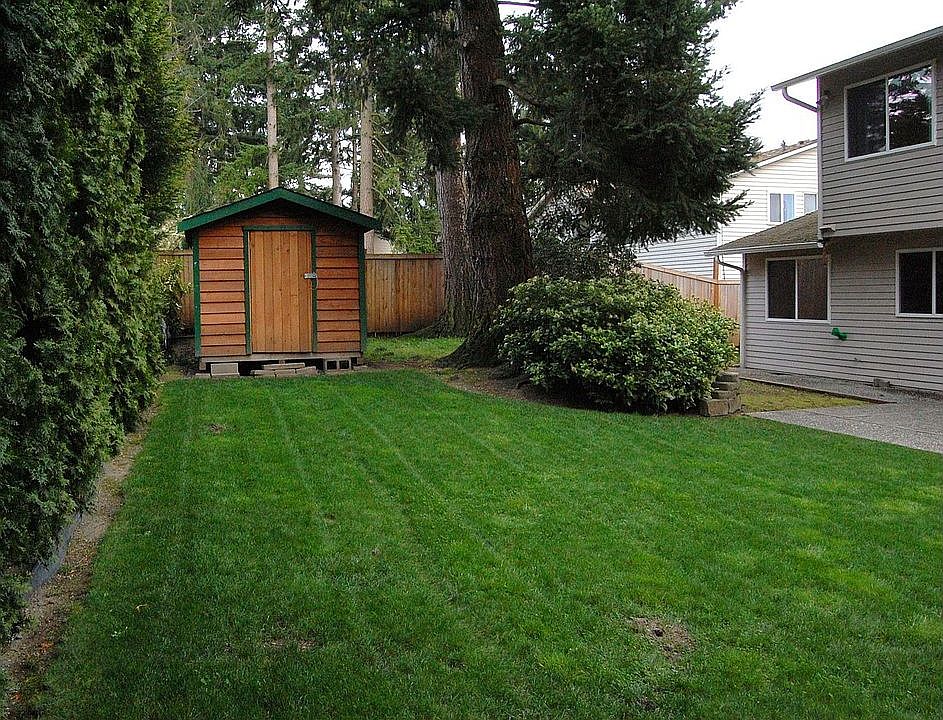 huge playable backyard with shed