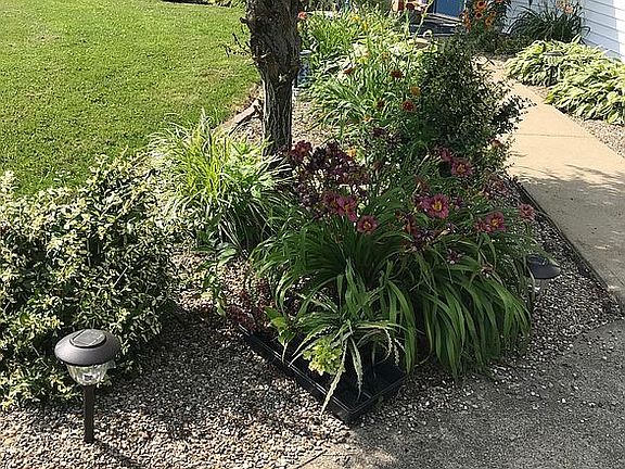 5th image of 41111 Nicki Lynn Dr