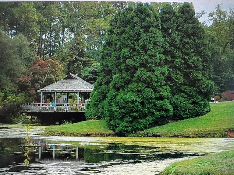 Brookside Gardens