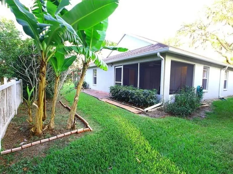 back yard