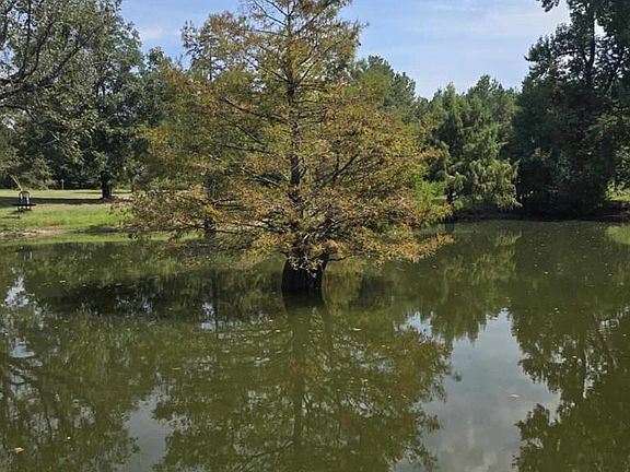 3rd image of 4622 McBride Rd