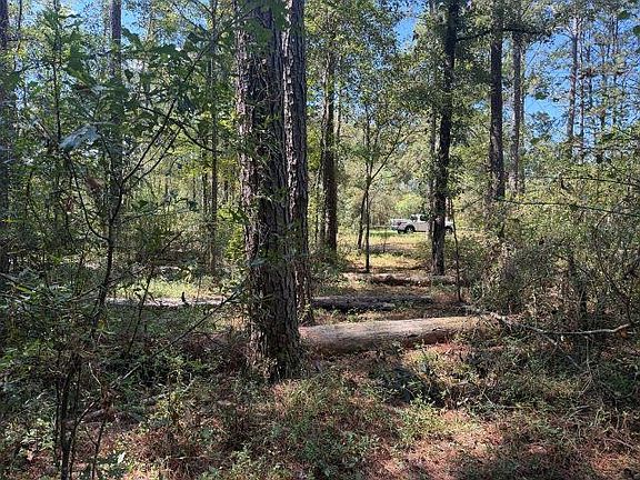 4th image of 11818 Willard's Camp Rd