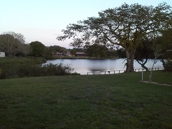 backyard view