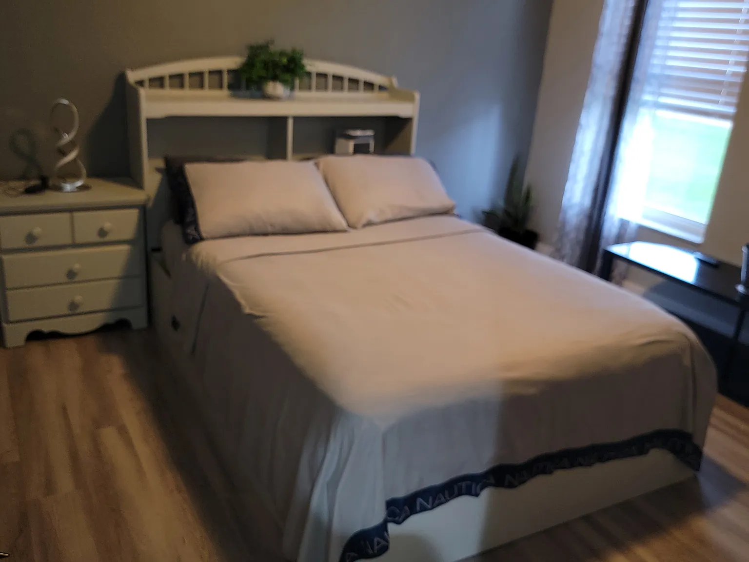 1 bed, 100 sqft, $800 — Photo 2