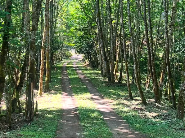 19713 196th ave E, Orting, WA 98360