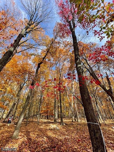 1st image of 924 Middleville Rd