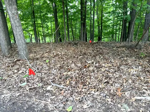 1513 Wolf Trail Rd, Ballwin, MO 63021