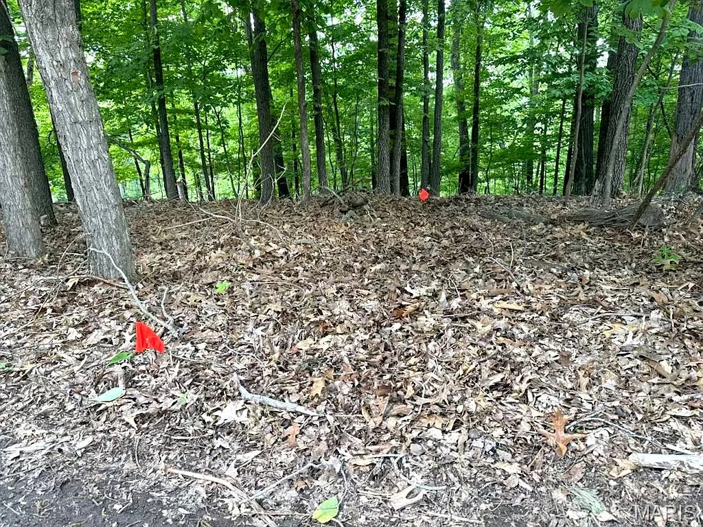 1513 Wolf Trail Rd photo 1