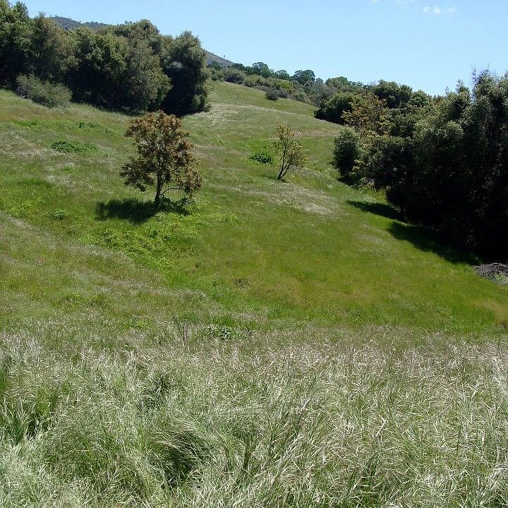 2nd image of 0 Jones St
