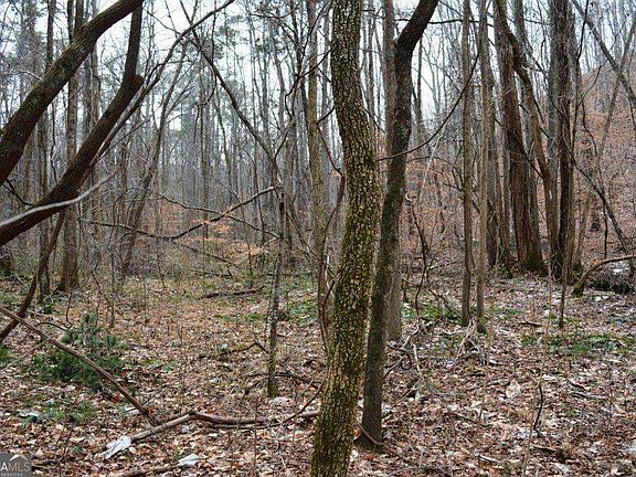 3rd image of 0 Willow Springs Rd