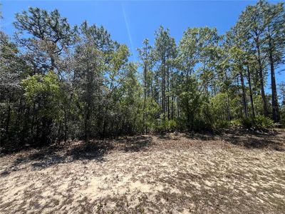 5354 N Tee Pee Dr LOT 9, Beverly Hills, FL, 34465