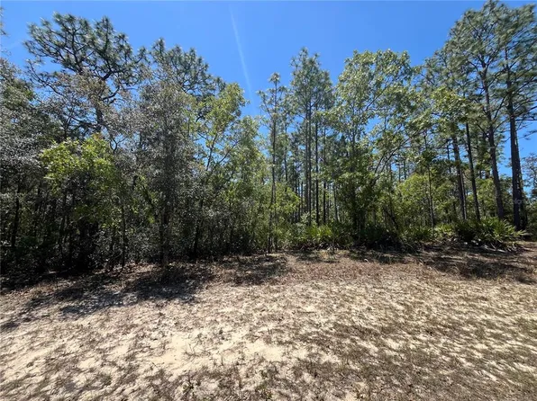 5354 N Tee Pee Dr Lot 9, Beverly Hills, FL 34465