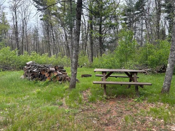 6986 W Baldwin Rd, Baldwin, MI 49304