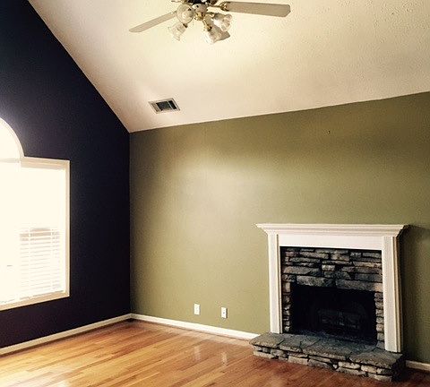 Vaulted ceiling Living Room