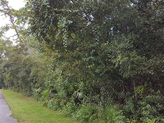 SW corner of property