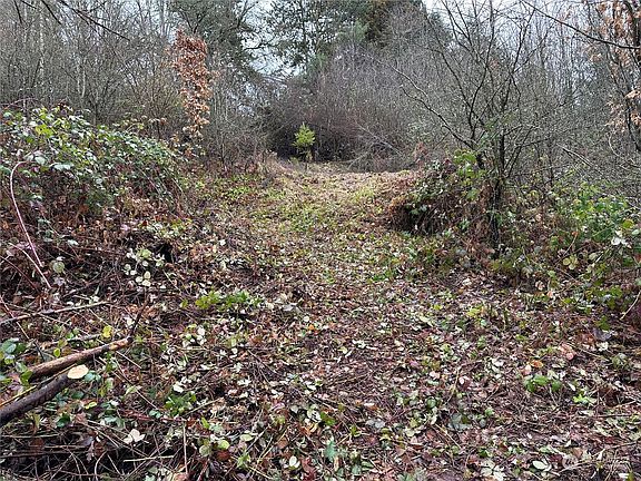 3rd image of 0 Lynnwood Dr