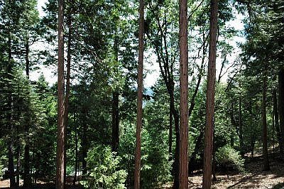 Sierra Mountain vies from this lovely home