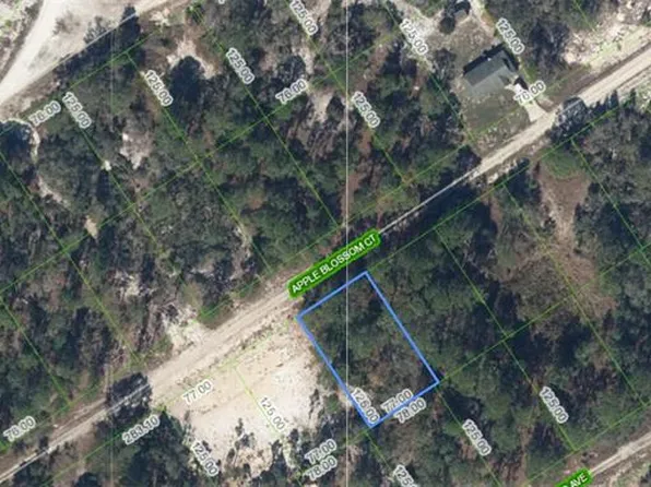 447 Apple Blossom Ct #7, Lake Placid, FL 33852