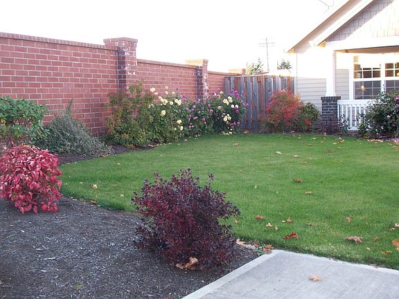 front yard