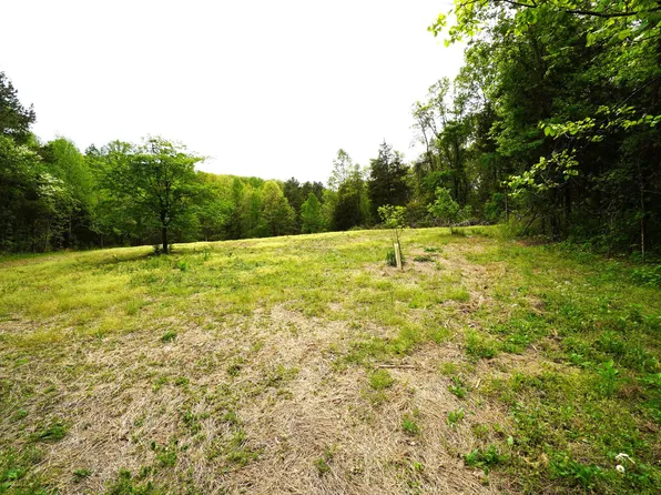 TRACT 19 Pleasant View Cemetery Rd, New Market, TN 37820