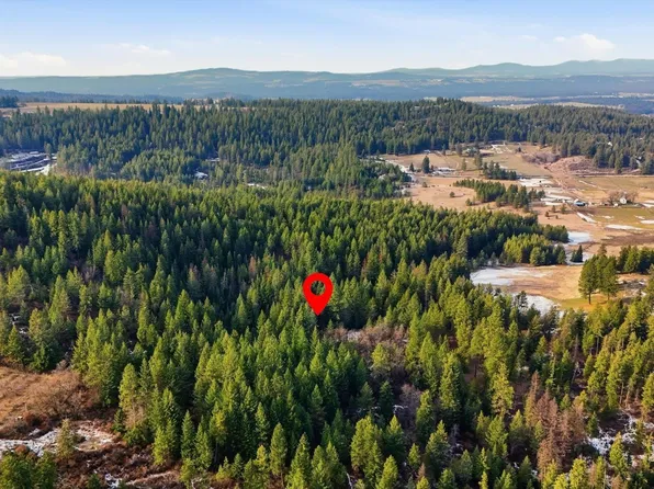 E Mount Spokane Road Unassigned Address On #X, Colbert, WA 99005