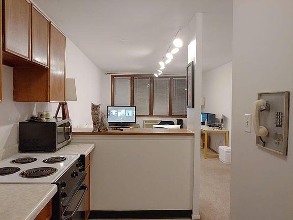 3rd image of 1355 N Dearborn St APT 405