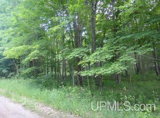Tbd Hope Mine Rd, Crystal Falls, MI 49920