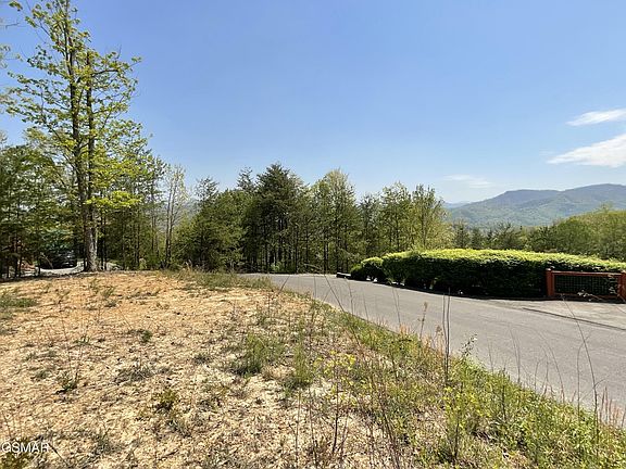 2nd image of 49 Cats Paw Ln Lot 49