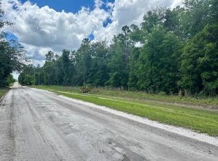 12 Northwest Ct, Bell, FL 32619