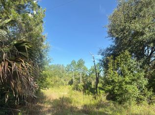 19037 Parakeet Rd, Brooksville, FL 34614
