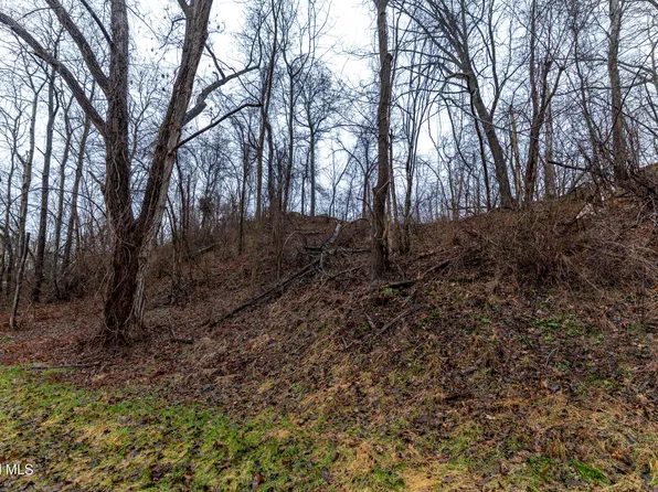 94 Briar Avenue, Albany, NY 12203