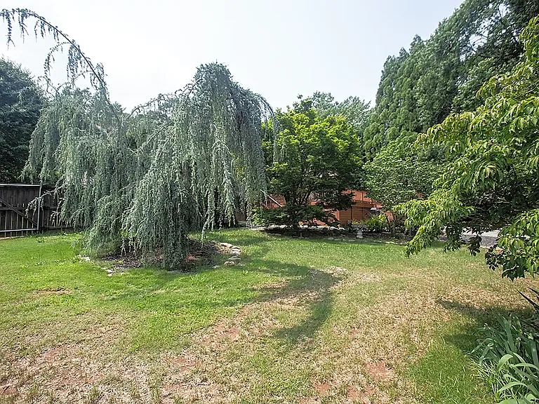 2282 State Park Rd — Photo 7